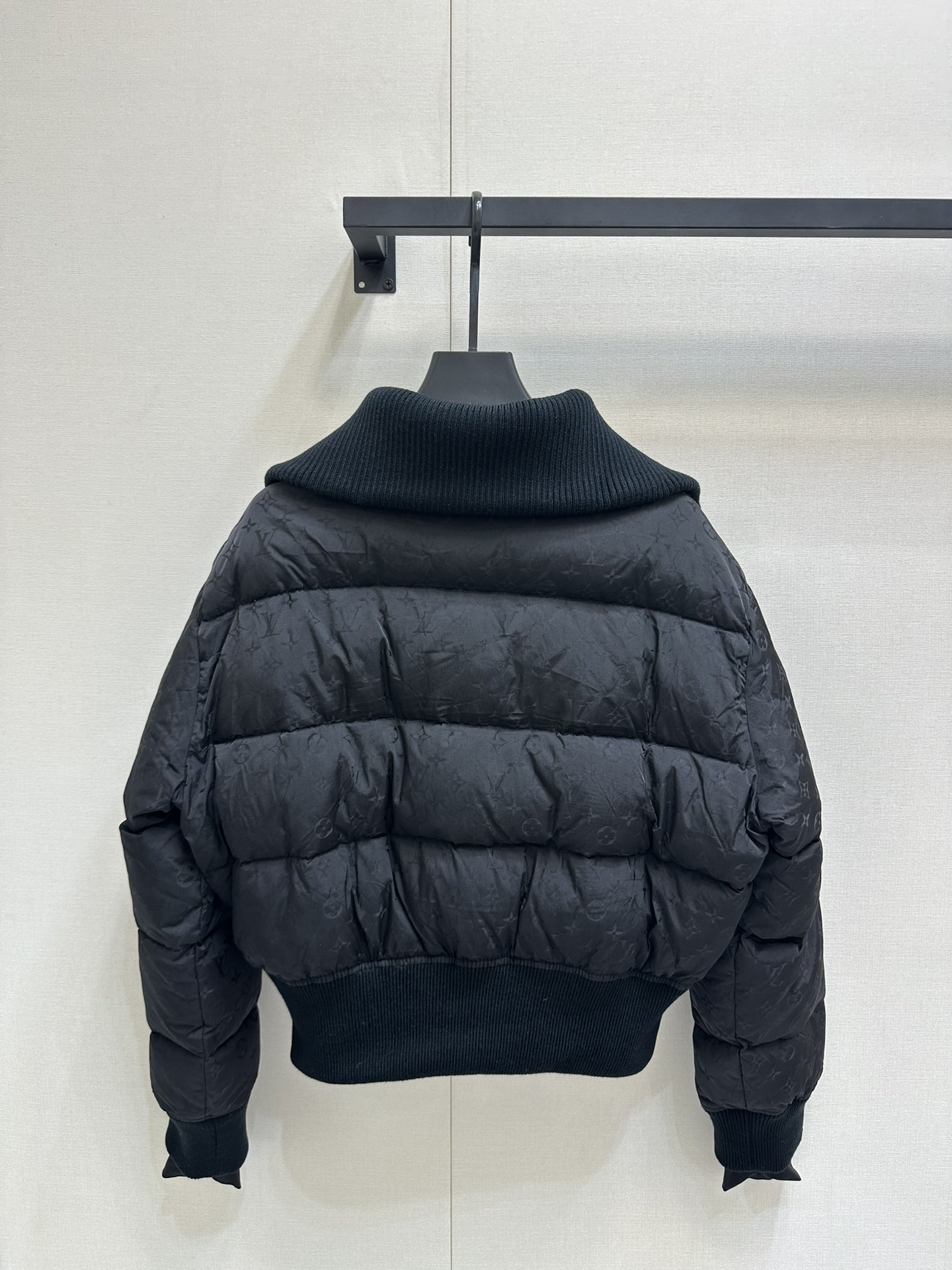 Louis Vuitton Down Jackets